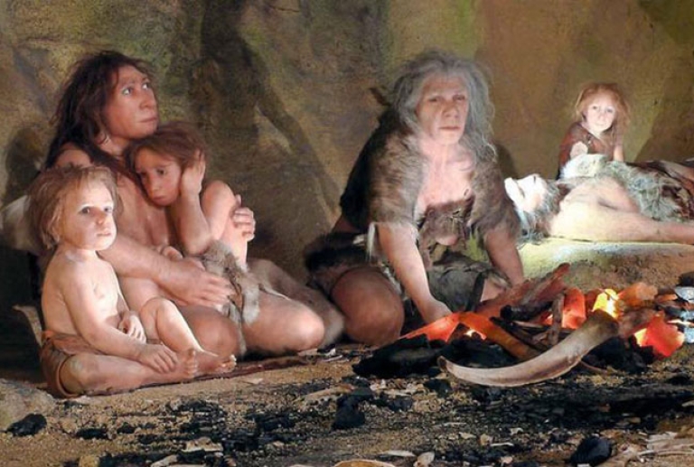 Neanderthaler: Die frühen Experten für Heilpflanzen